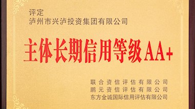 主體長期信用等級(jí)AA+